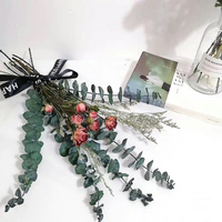 Gedroogde Eucalyptusbladeren, echte geconserveerde Eucalyptusbladeren, bruiloft, Moederdag, nieuwjaarsdecoratie, jarenlange decoratie.