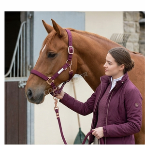 En gros, Nouvelle Arrivée : Ménagères pour chevaux de qualité supérieure, personnalisables, rembourrées, confortables, douces et réglables, avec rembourrage pour le nez et la tête. - Product Image 5