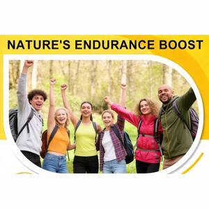 Gotas Líquidas de Shilajit del Himalaya Puro, Certificadas por ISO GMP, Alta Potencia, Ricas en Ácido Fúlvico y Minerales para Energía y Vitalidad - Product Image 5