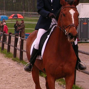 อุปกรณ์ขี่ม้าแบบใหม่ คู่อานม้าแบบสี่เหลี่ยม สีดำ ป้องกันการลื่น ป้องกันข้อเท้า สำหรับขี่ม้าอย่างมั่นคง - Product Image 5