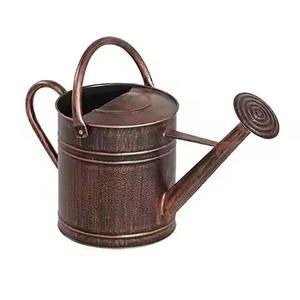 Arrosoir en métal tendance à long bec pour l'entretien des plantes d'intérieur et d'extérieur - Product Image 2