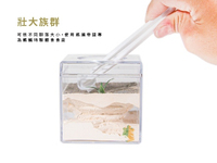 Aangran Nid de fourmis mini/moyen en acrylique écologique et durable, design transparent, fermeture à bouton, facile à nettoyer, toutes saisons