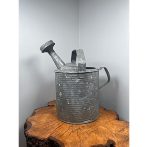 Arrosoir de jardin en métal galvanisé de qualité supérieure avec double poignée et tête de pulvérisation, style ferme, prix d'usine - Product Image 1