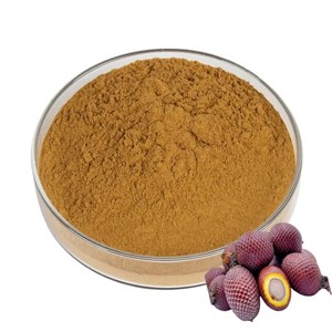 Poudre de fruit d'Aguaje de haute qualité OEM, 100% pure et naturelle, poudre d'Aguaje en gros, qualité alimentaire supérieure, poudre de Mauritia Flexuosa - Product Image 3