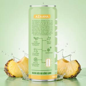 Bebida Estilo Kombucha de Melón y Piña con Marca Personalizada OEM, Suministro al por Mayor, Fabricante - Product Image 5