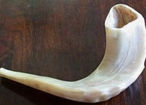 Shofar de Cuerno de Carnero Pulido Ecológico OEM, Forma Natural, para Oración Religiosa, Israelí, Kosher, Judío, Yemení, para Soplar, FAIZA CRAFT - Product Image 4
