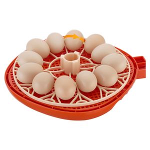 Incubatrice per 12 Uova con Illuminatore LED Automatico e Controllo Temperatura/Umidità, Finestra Trasparente a 360° per l'Osservazione e la Cura del Pollame - Product Image 4