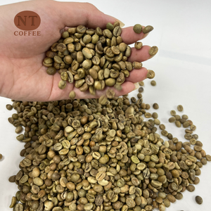 Granos de Café Robusta Vietnamita de Primera Calidad, Sin Tostar, Proceso Natural en Seco, Cuerpo Intenso, Suministro al por Mayor para Exportación - Product Image 1
