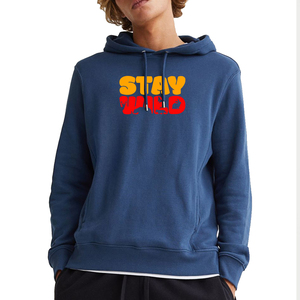 Sweat à capuche d'hiver en molleton technique 100 % coton épais de haute qualité pour hommes, avec logo personnalisé imprimé, vente en gros 2025 - Product Image 1