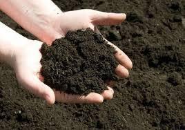 Bhumi Gold - Polvo de Vermicompost de Estiércol de Vaca Orgánico, 100% Puro, Fertilizante de Liberación Rápida, Almacenamiento en Seco, Uttar Pradesh, 24 Meses - Product Image 6