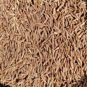 Collection de graines de cumin naturelles pour les acheteurs d'ingrédients alimentaires, avec un profil de saveur riche et une offre prête à l'exportation pour la croissance des acheteurs - Product Image 6