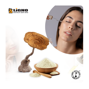 Extrait d'eau de champignon du lait de tigre (Lignosus) - Actifs de soin anti-rougeurs et pour le soutien de la barrière cutanée - OEM Malaisie - Product Image 1