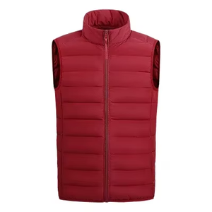 Gilet matelassé léger d'extérieur pour homme, col montant, logo personnalisé OEM, idéal pour le golf et l'hiver - Product Image 2