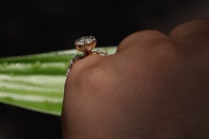 Bague en or pour femme avec diamants de laboratoire, bijoux de fiançailles de luxe, or 10K, 14K, 18K et argent 925 - Product Image 3