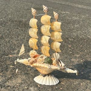 Coquillages naturels de haute qualité pour sublimer vos événements, décorations de plage et aménagements aquatiques - Vente en gros - Product Image 4
