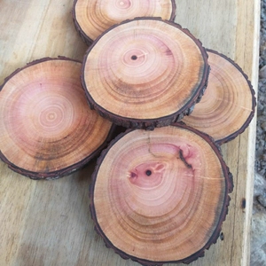 Meilleures ventes Décoration murale en panneaux de bois de haute qualité |   Planche solide naturelle polie réutilisable pour usage hôtelier et domestique - Product Image 3