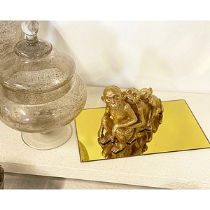 Rectangular Mirrored Storage Tray With Metal Frame Minimalist Design For Table Use - Product Image 4