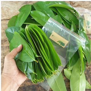 Natural Dried Graviola Leaves <b>Tea</b> Ingredient Bulk Supply Ready to Ship - Product Image 6