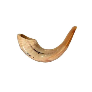 Shofares Artesanales Naturales Hechos a Mano - Cuernos de Búfalo y de Carnero Pulidos con Estilo Animal para Decoración del Hogar - Product Image 1