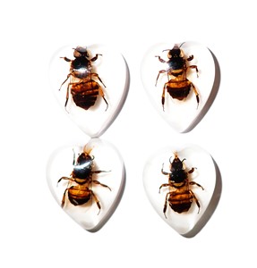 Cabujón de Plástico con Especímen Real de Abeja, Forma de Corazón, 17x21 mm, Base Plana Blanca, para Manualidades y Joyería - Product Image 4