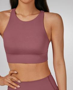 Sujetador Deportivo con Logotipo OEM Personalizado, Diseño a Medida, para Mujer, Talla Grande, Sin Costuras, de Algodón y Elastano, Disponible a Bajo Precio - Product Image 3