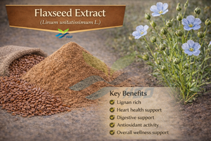 Suministro Directo de Fábrica HGO de Extracto Puro y Natural de Linaza (Linum usitatissimum) Grado Alimenticio, Lignanos 40% Extracto Estandarizado - Product Image 2