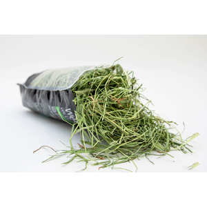 Foin de timothée en gros, stock en vrac, prix réduit, livraison rapide, fournisseur exportateur - Product Image 1