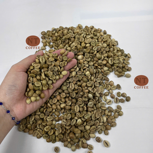 Granos de Café Verde Robusta Directamente de la Granja, Cosecha Fresca de Vietnam, Venta al Por Mayor, Mejor Precio Competitivo - Product Image 1