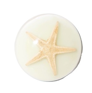 Starfish Real Specimen Plastic Cabochon Round 38x38 mm Glow Flat Bottom for Crafts and Jewelry Making - Product Image 1