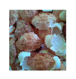 Dried <b>Crab</b> Shell For Aquaculture And Agriculture - Katty - Product Image 2