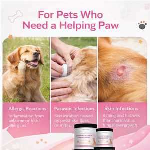 Fórmula Recomendada por Veterinarios para Aliviar la Picazón en la Piel, para Todas las Razas y Tamaños de Perros, Probiótico Orgánico para Perros, Alergias, Inmunidad, Masticables Suaves con Sabor a Pollo - Product Image 6