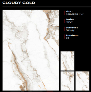 Carreaux de sol en porcelaine brillante de qualité supérieure, les plus demandés et les plus vendus, 600x1200mm, antidérapants et résistants à l'usure, fabriqués en Inde, Clayton Ceramic - Product Image 1