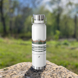 Botellas de Cobre Hechas a Medida, 100% Cobre, 950 ml, Doble Pared, con Tapa de Rosca de Plástico, Ecológicas, Color Plateado, para Tiendas de Salud - Product Image 4