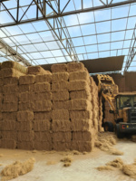 Nouvelle Fibre de Coco Dorée de Qualité Supérieure en Gros, Balles de 100 kg, 3% d'Impuretés, Matériau Propre pour Rembourrage de Matelas Tan Hoi