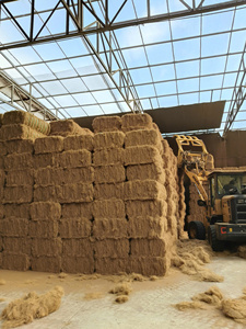 Fibra de Coco Dorada de Primera Calidad, 100 kg, 3% de Impurezas, Humedad 22-26%, Material para Relleno de Colchones - Product Image 1