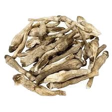 Apodado el "hongo Rey" SETA DE TERMITA NEGRA CULTIVADA SETA DE TERMITA seca al mejor precio Akina - Product Image 2