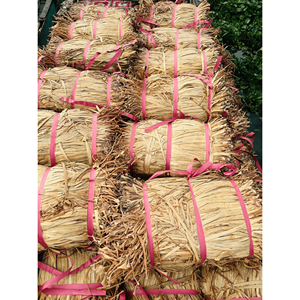 Water Hyacinth braided rope dried water hyacinth material for handicraft production and weaving Vietnam origin - Product Image 3