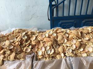 Dried <b>Crab</b> Shell For Aquaculture And Agriculture - Katty - Product Image 3