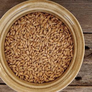 Cebada de Exportación Estándar, Cuidadosamente Procesada para Compradores al por Mayor, Garantizando Cebada con Excelente Textura y Atractivo Comercial - Product Image 3