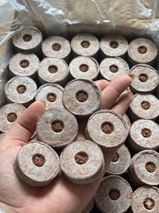 Bloc de coco compressé en gros pour germination des graines, écologique, pour semis, faible teneur en EC, ECO2GO VIETNAM - Product Image 5