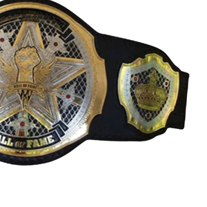 Cinturón de Campeonato del Salón de la Fama, Diseño Personalizable en Negro y Dorado, Título de Lucha Libre Premium, Artículo de Colección - Product Image 3