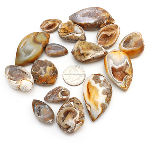 Concha de Caracol Fossilizada Natural Cristalizada, Druzy, Gema Multicolor, Cabujón Brillante, Gema al por Mayor - Product Image 2