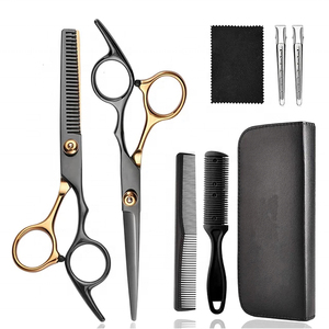 Kit de Coiffure Professionnel à Domicile – Ciseaux et Rasoirs Argent/Or en Acier Inoxydable de Haute Qualité – Outil de Beauté pour Salon de Coiffure et Effilage - Product Image 1