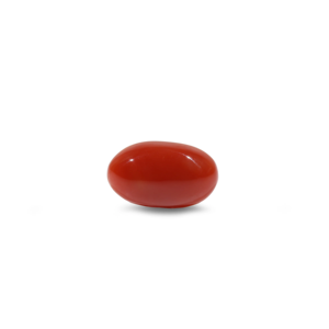 Natural Japanese Red Coral Loose Gemstone-6 Carat Certified Wholesale Lot-Rough Brilliant Cut - Product Image 1