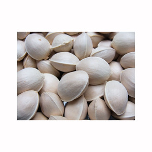 Nueces de Ginkgo con y sin cáscara, suministro a granel para procesamiento de alimentos y distribución mayorista con opciones de empaque personalizado - Product Image 6