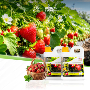 Engrais liquide bio organique à libération rapide, additif nutritif pour plantes, pour fraises, agrumes et arbres fruitiers - Product Image 1