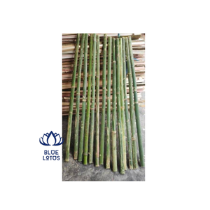 PRECIO DE FÁBRICA: PALO DE BAMBÚ RECTO DESHIDRATADO SIN Nudos - Product Image 1