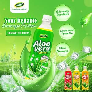 Boisson saine à l'aloe vera naturelle premium 500ml en bouteille PET avec saveur de fruits |   WANA Beverage, fabricant vietnamien - Product Image 1