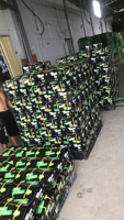 Verse Vietnam Pitloze Citroenen Geteeld Onder Tropisch Zonlicht Natuurlijk Gerijpt Verpakt Voor Supermarkten Restaurants En Detailhandel
