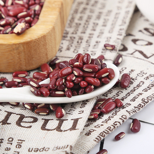 Service OEM Haricots rouges biologiques de qualité alimentaire en vrac, vente en gros, expédition immédiate, approvisionnement pour l'exportation - Product Image 4